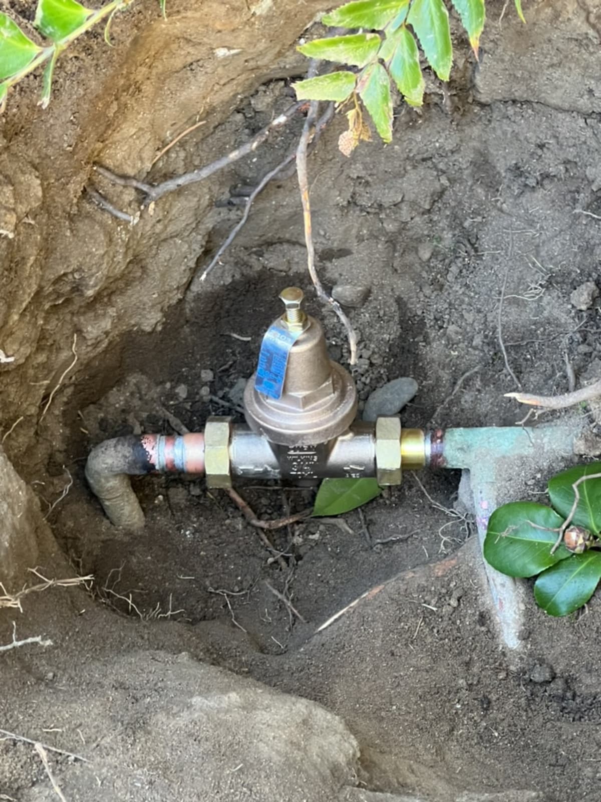 Excavated pressure regulator valve at main water line with backflow preventer